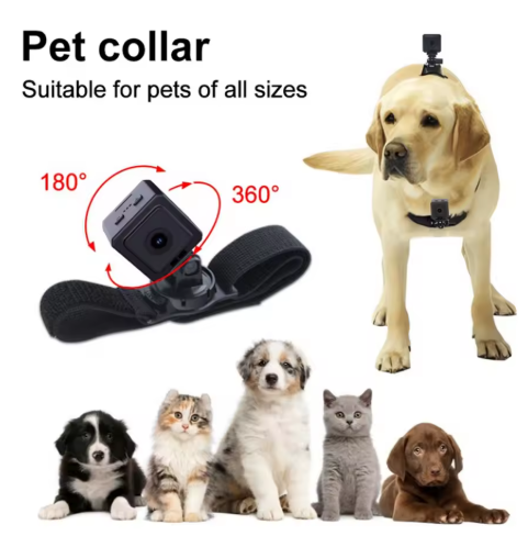HOT-1080P HD Pet Collar Camera 1080P Pet Collar Camera Wifi Wireless Magnetic Pocket Camera For Pet Dog Cat Volg Video Recorder
