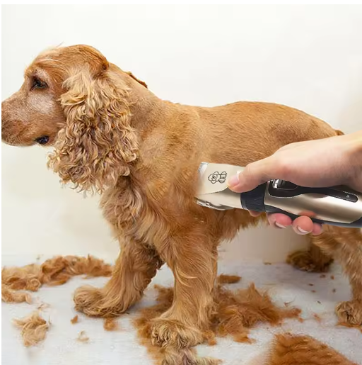 1 set Pet Hair Clipper Haircut Trimmer Shaver Set for Rabbit Cat Dog Puppy Grooming Clipper Cutter Pet Supplies Electric Scissors
